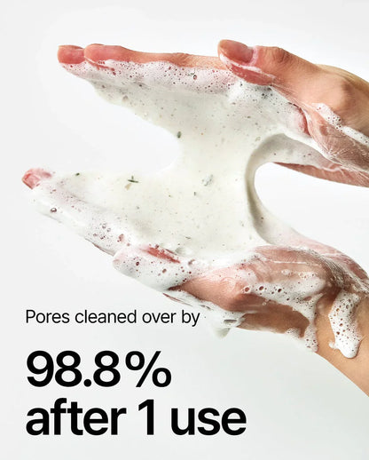 Anua_HeartleafQuercetinolPoreDeepCleansingFoam150ml7